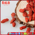 EU-zertifizierte Goji-Beeren Goji-Beeren rote Goji-Beeren halten eine schlanke Figur